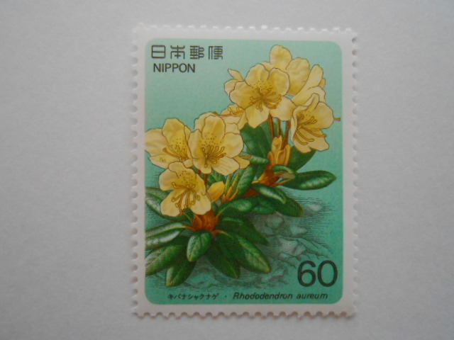 高山植物3集 キバナシャクナゲ 未使用60円切手(6105)拍卖