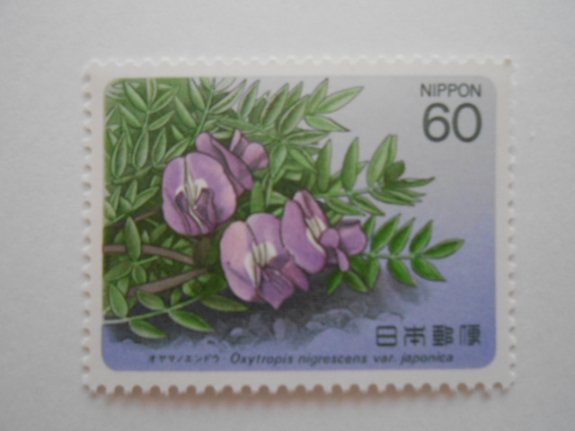 高山植物3集 オヤマノエンドウ 未使用60円切手(6106)拍卖