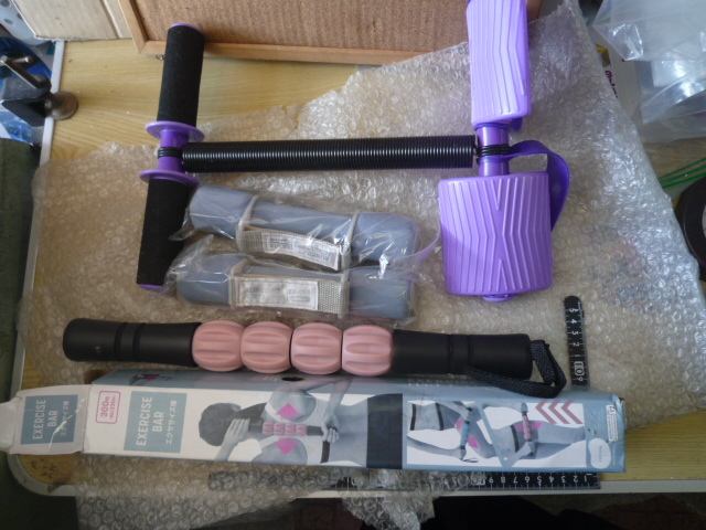 背筋スプリング エクササイズ棒 ALINCO ソフトダンベル EX-019 0.5kg 青 2個セット ウォーキング まとめて 現状渡し品 同梱不可拍卖