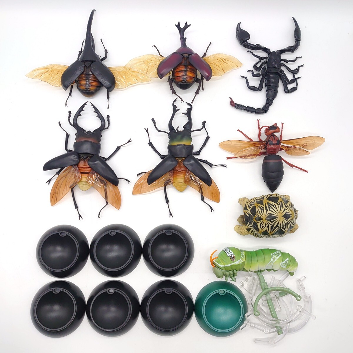 BANDAI バンダイ いきもの大図鑑 カブトムシ クワガタ スズメバチ サソリ カプセルトイ ガチャガチャ フィギュア スタンド セット t-25x877拍卖