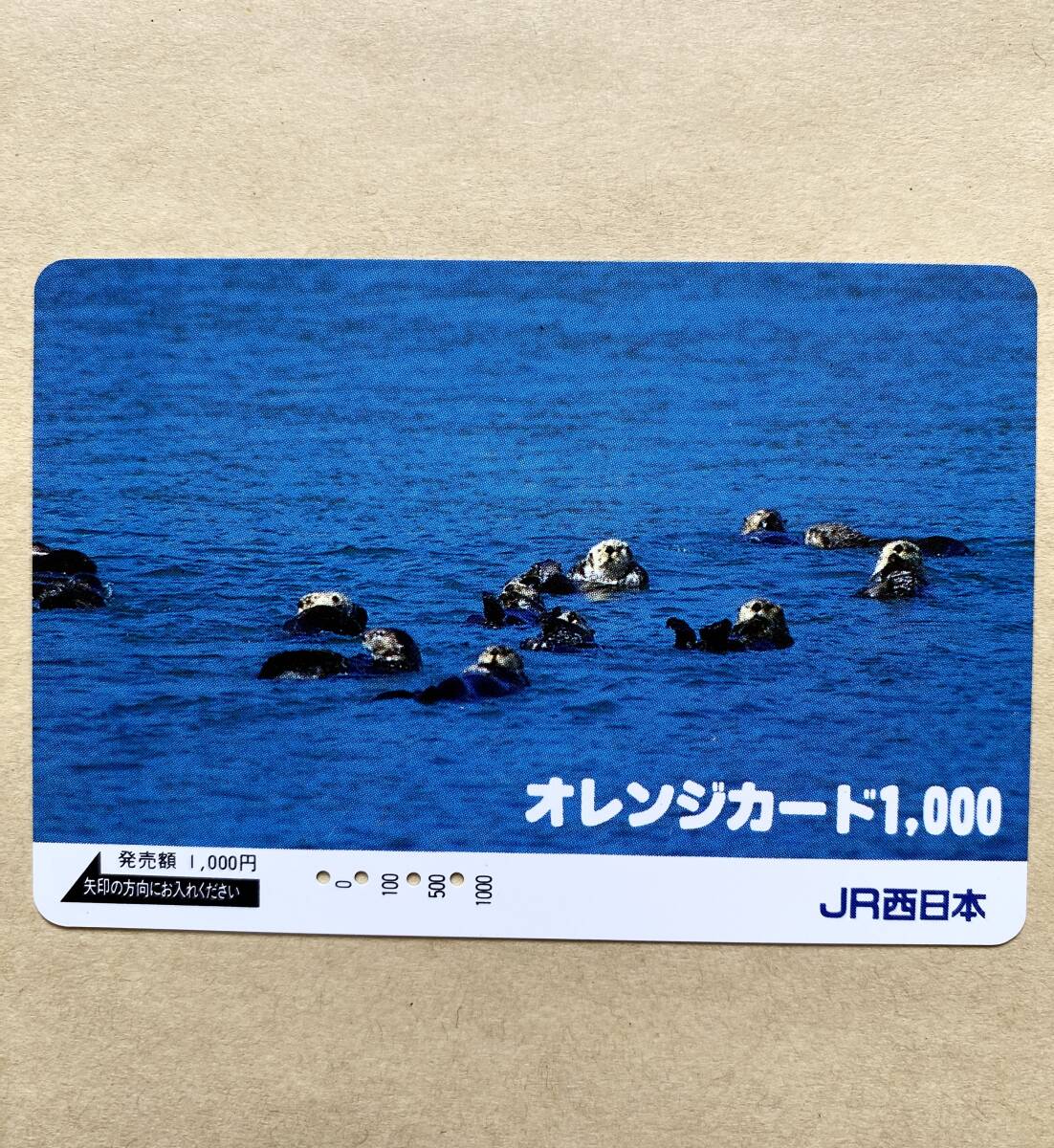 【使用済】 オレンジカード JR西日本 ラッコの群れ拍卖