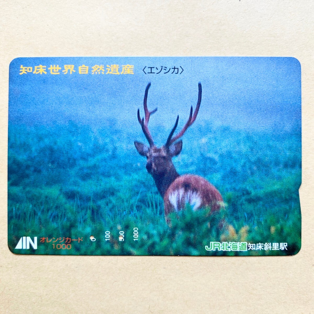 【使用済】 オレンジカード JR北海道 知床世界自然遺産 (エゾシカ)拍卖