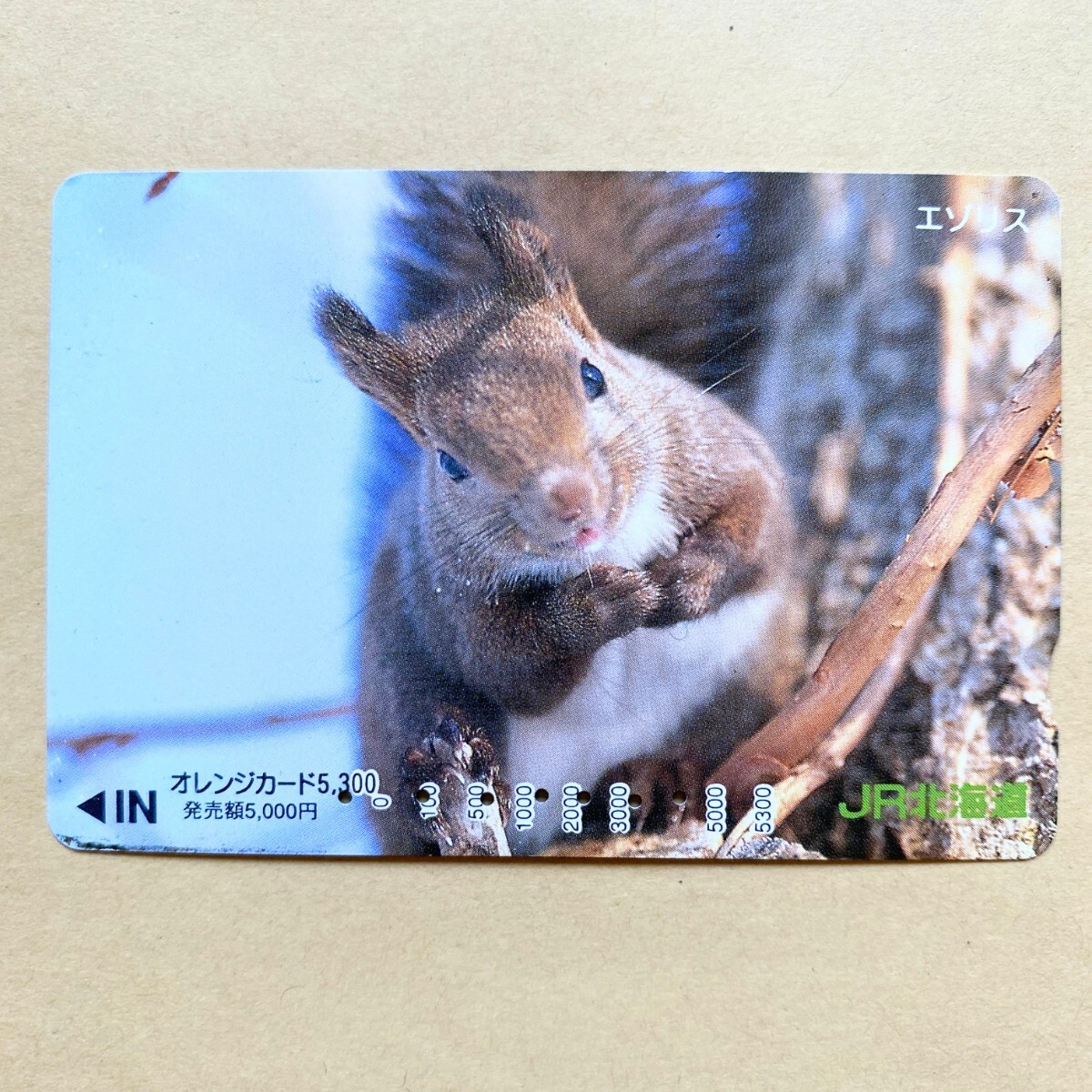 【使用済】 オレンジカード JR北海道 エゾリス拍卖