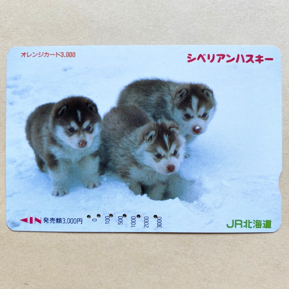 【使用済】 オレンジカード JR北海道 シベリアンハスキー 子犬拍卖