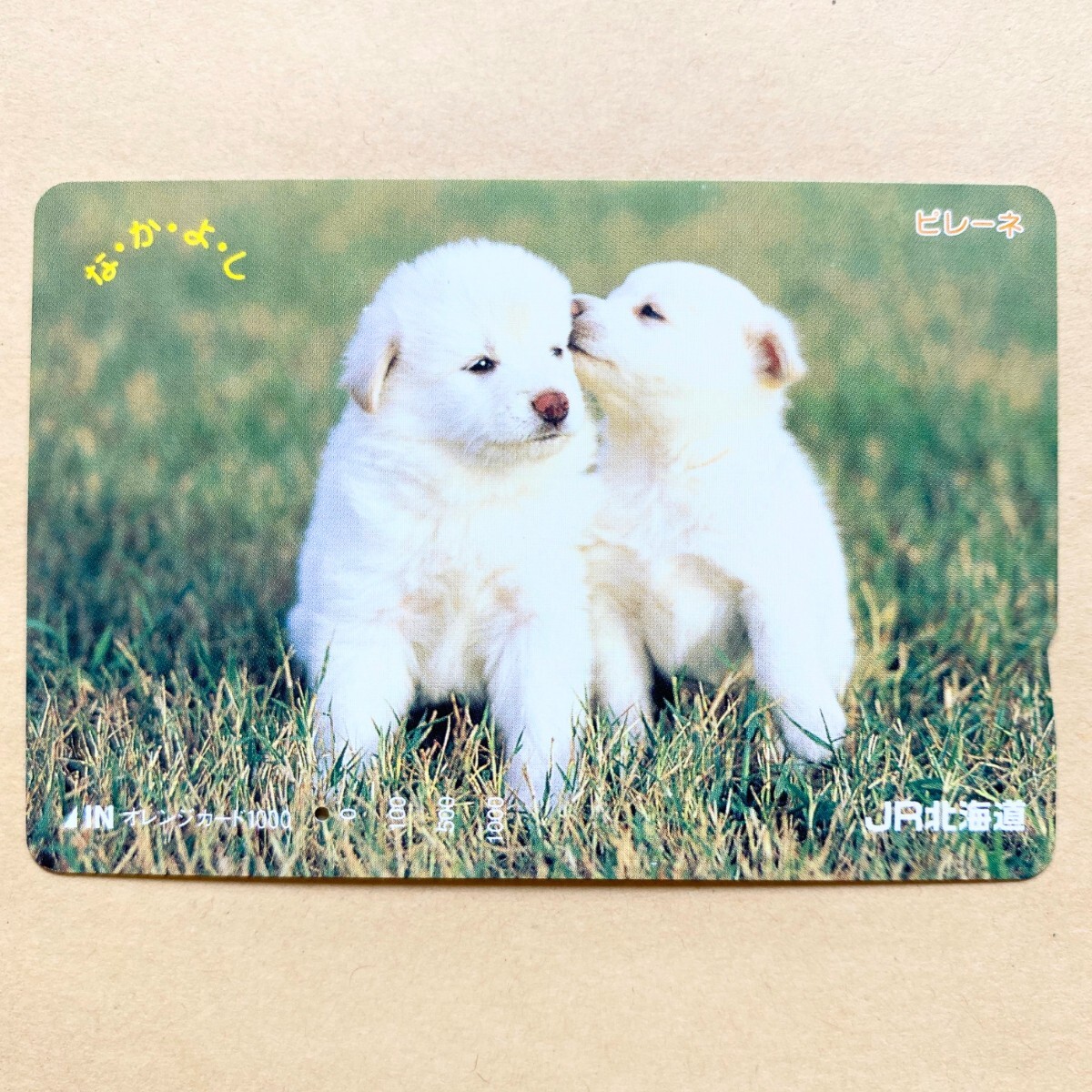 【使用済】 オレンジカード JR北海道 ピレーネ 子犬拍卖