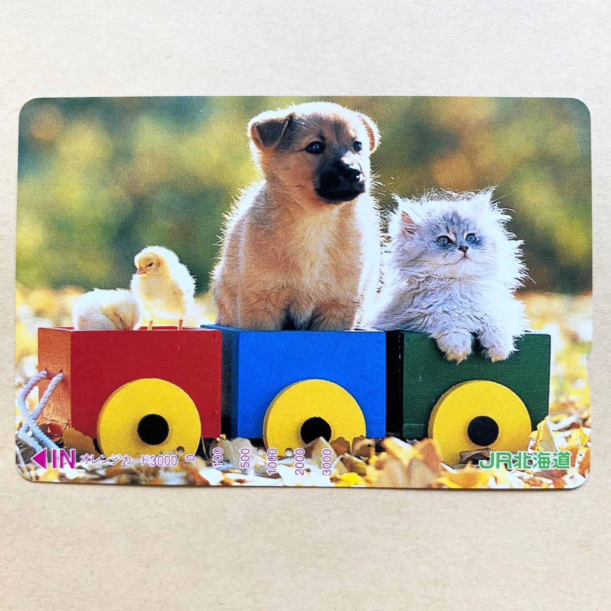 【使用済】 オレンジカード JR北海道 ひよこと子犬、子猫のトロッコ拍卖