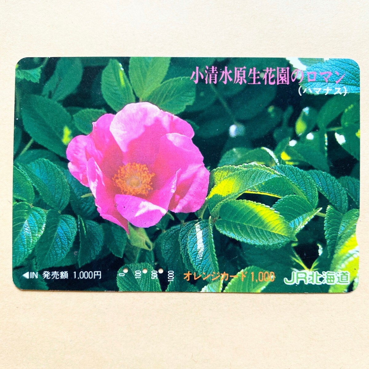 【使用済】 花オレンジカード JR北海道 小清水原生花園のロマン (ハマナス)拍卖
