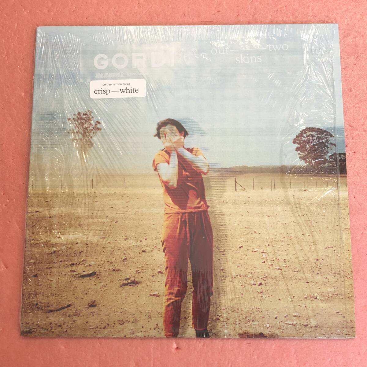 LP シュリンク付き Gordi / Our Two Skins ゴーディ Sophie Payten拍卖