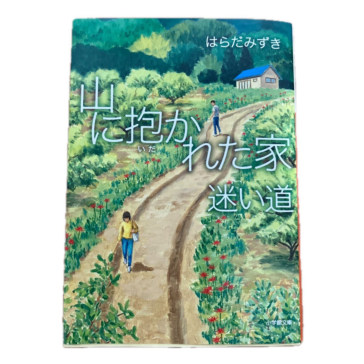 山に抱かれた家 迷い道  はらだみずき  送料無理拍卖