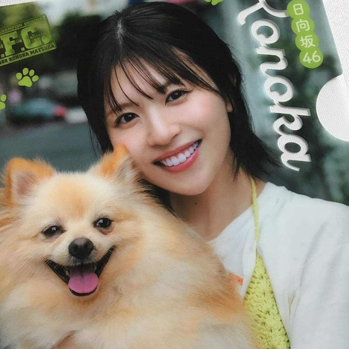 「 松田好花 B5 クリアファイル 」アイドル コレクション 「 ヤングチャンピオン 2025年 」付録 まつだこのか クリアファイル 日向坂46拍卖