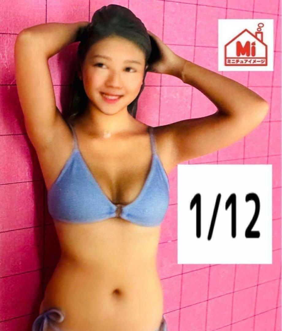 1/12★1174★フィギュア★完成品★ヌミック★1/64より大★ミニカーに リアルフィギュア ミニチュアイメージ拍卖