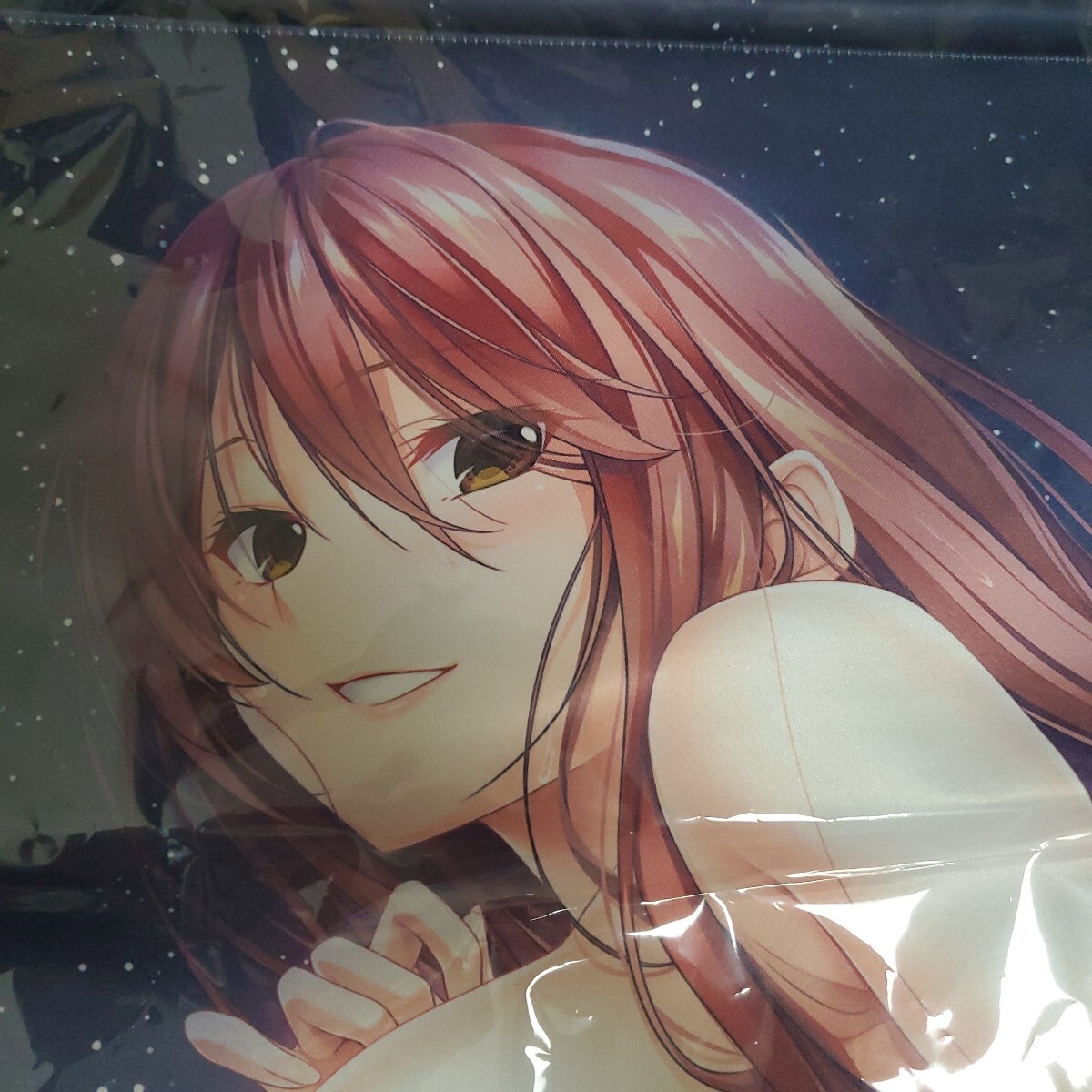 夏野藍衣 描き下ろしB2タペストリー PCソフト 姉ちゃんのススメ ~お姉ちゃんのイタズラ性生活~ げっちゅ屋予約特典拍卖