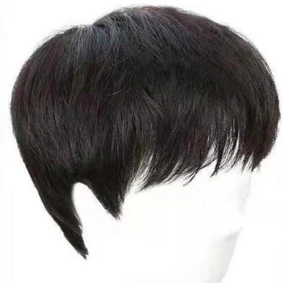 人毛100% ウィッグ メンズ 自然 フルウィッグ 短髪 かつら ショートウィッグ メンズウィッグ 薄毛 脱毛症 増毛 分け目 つむじ拍卖