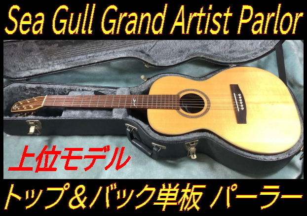 ★ 98' Sea Gull Grand Artist Parlor 上位モデル シーガル グランドアーチスト パーラー 単板★拍卖