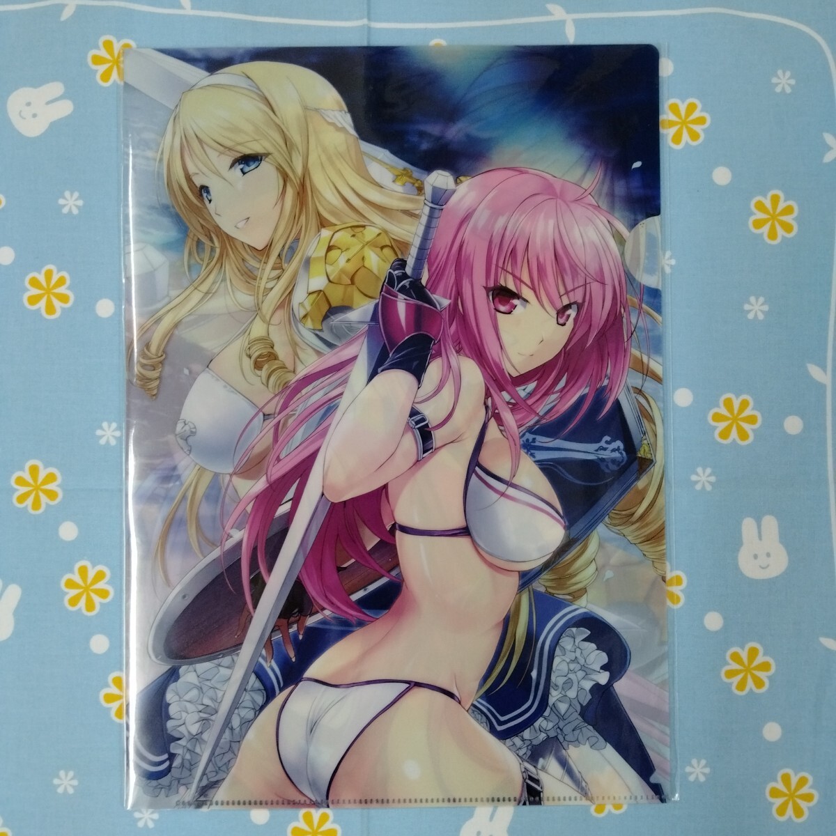 ビキニ・ウォリアーズ クリアファイル 未使用品 ビキニアーマー拍卖