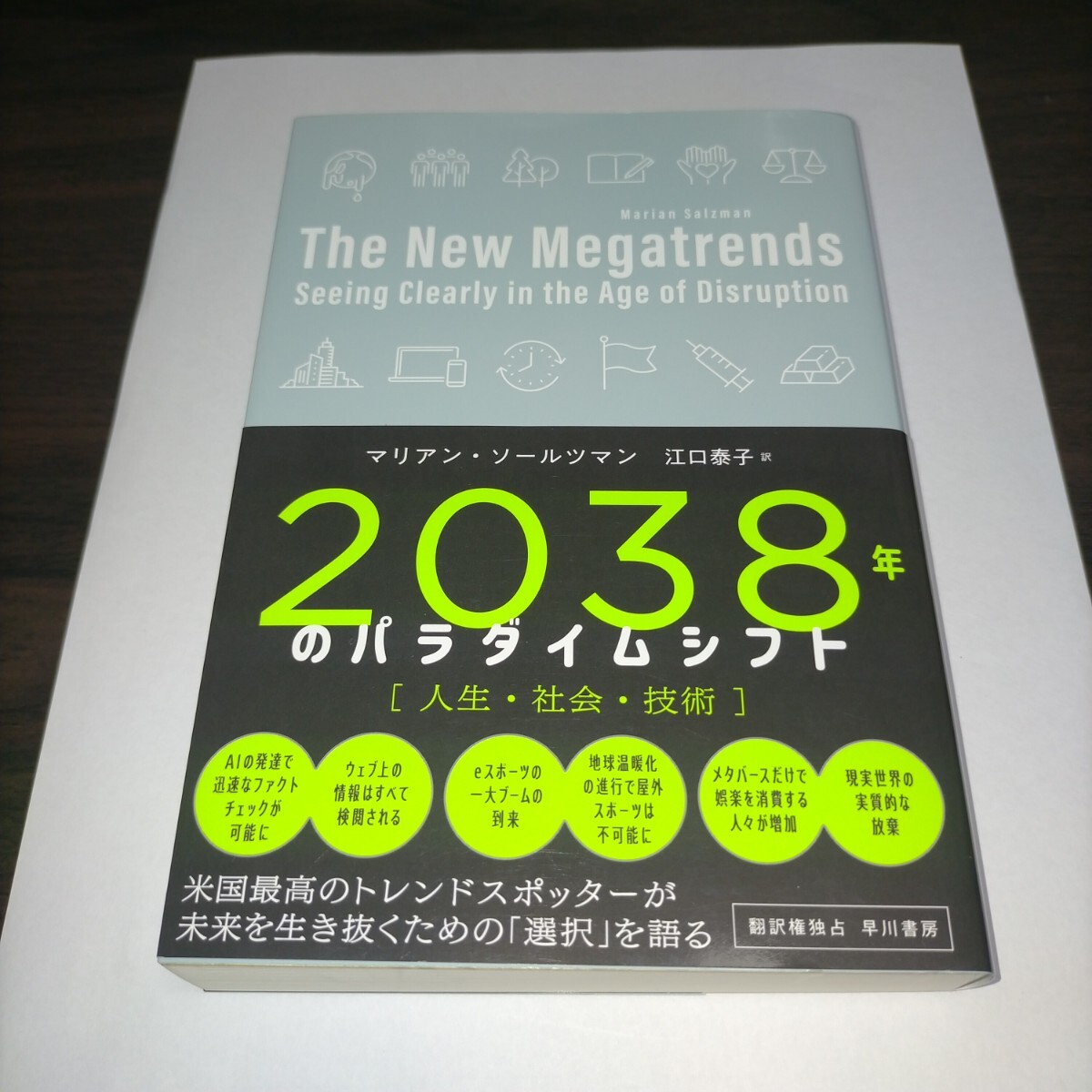 2038年のパラダイムシフト 人生・社会・技術 マリアン・ソールツマン/著 江口泰子/訳 保管m拍卖