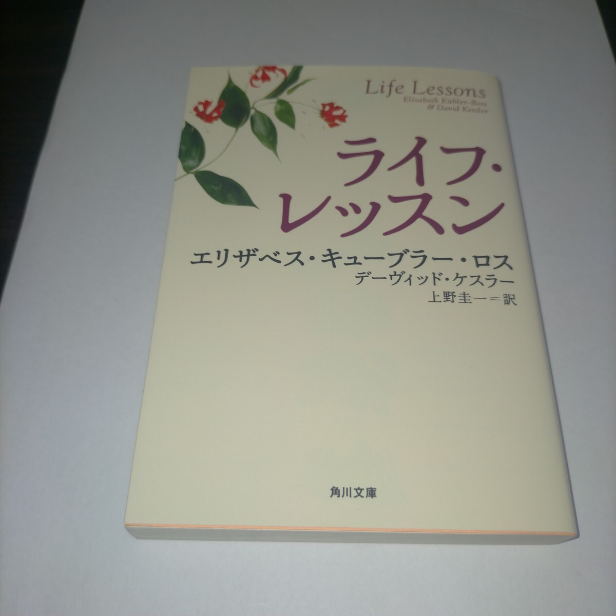 ライフ・レッスン (角川文庫) エリザベス・キューブラー・ロス/〔著〕 デーヴィッド・ケスラー/〔著〕 上野圭一/訳 保管q拍卖