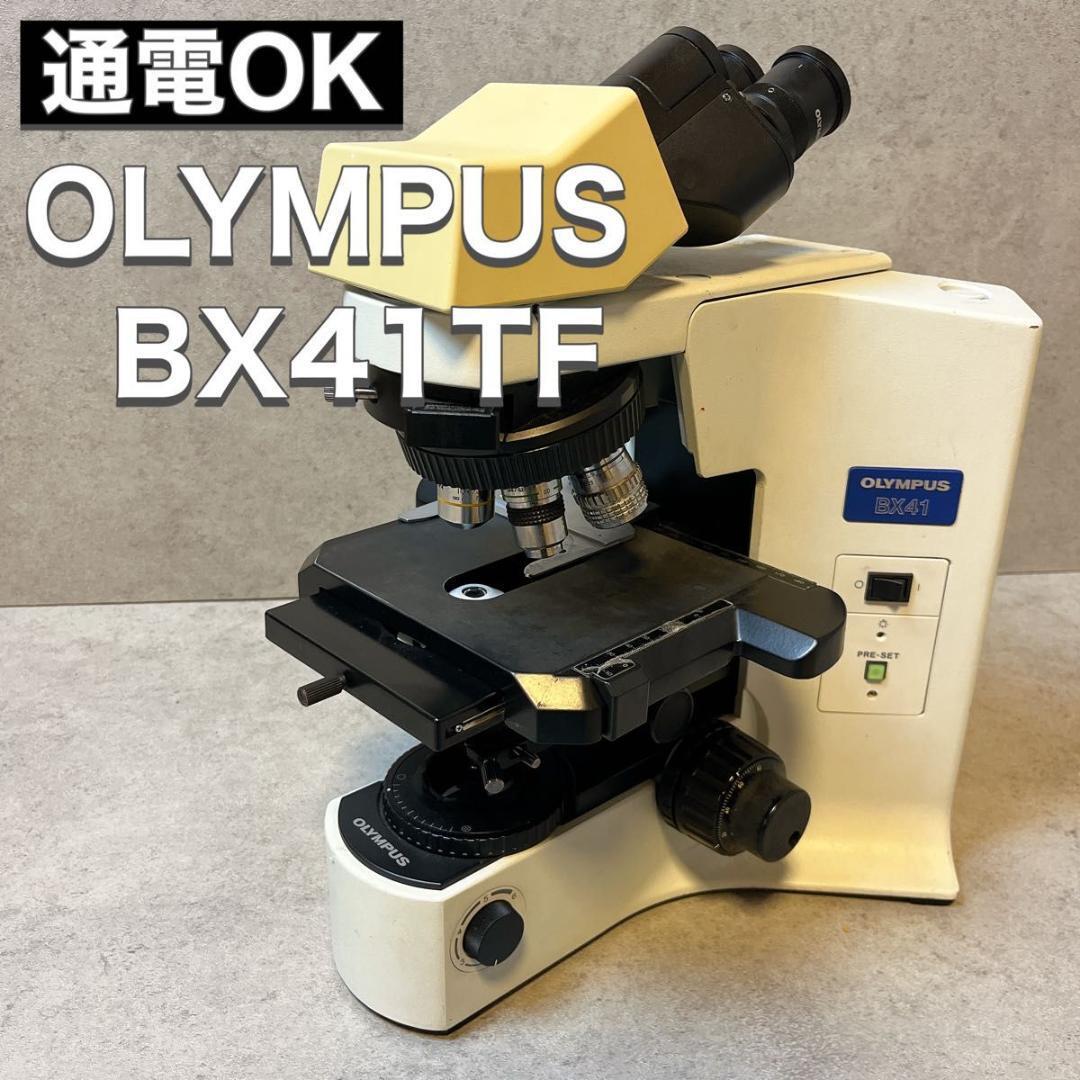 OLYMPUS オリンパス システム 生物 実体 顕微鏡 BX41TF 通電OK拍卖
