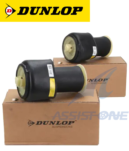 DUNLOP製 BMW 5シリーズ F11 523d 523i 528i 535i 550i リアエアサス リヤエアサス リア リヤ エアサス エアスプリング 左右 37106784378拍卖