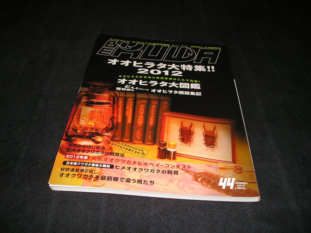 ビークワ BE-KUWA No.44 オオヒラタ大特集!!拍卖