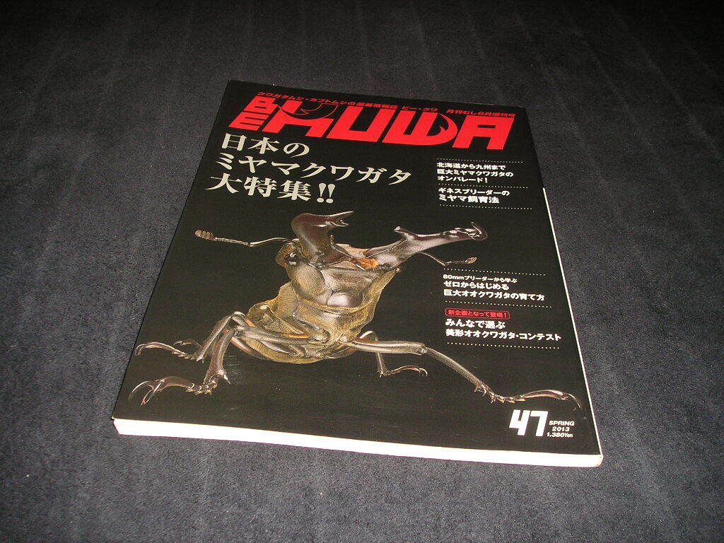 ビークワ BE-KUWA No.47 日本のミヤマクワガタ大特集!!拍卖