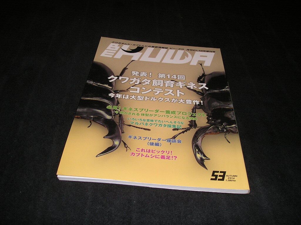 ビークワ BE-KUWA No.53 発表!! 第14回 クワガタ飼育ギネス コンテスト拍卖