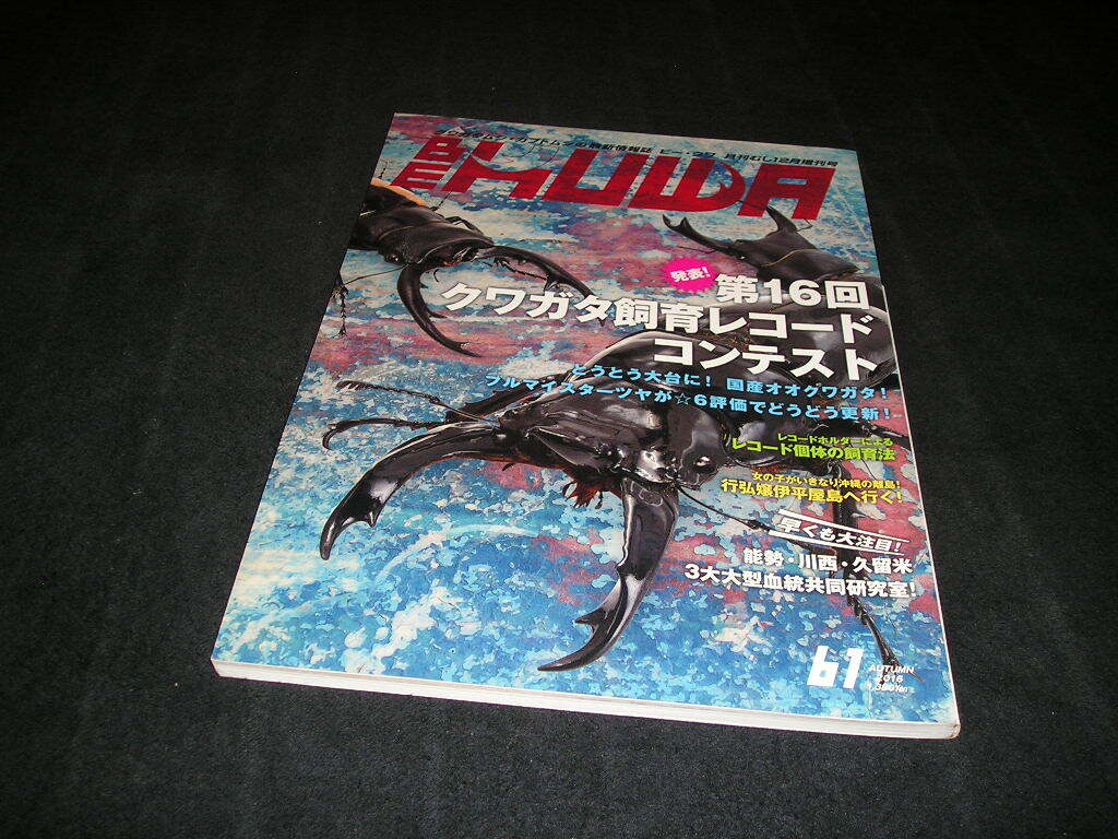 ビークワ BE-KUWA No.61 第16回 クワガタ飼育レコード コンテスト 拍卖