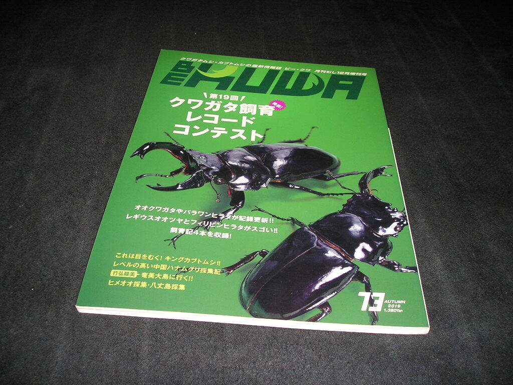 ビークワ BE-KUWA No.73 発表! 第19回 クワガタ飼育レコード コンテスト 拍卖