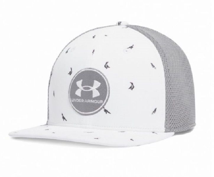 アンダーアーマー キャップ UAアイソチル ドライブ ロー ストレート キャップ 2025モデル(新品、未使用)(即納)拍卖