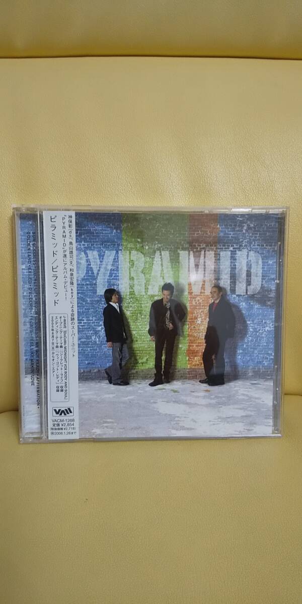 Pyramid/ピラミッド 鳥山雄司拍卖