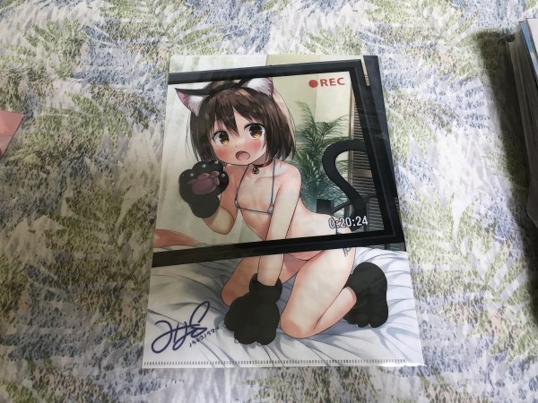 d240クリアファイル 雪野みなと) COMIC1☆22 /ノラネコノタマ 拍卖