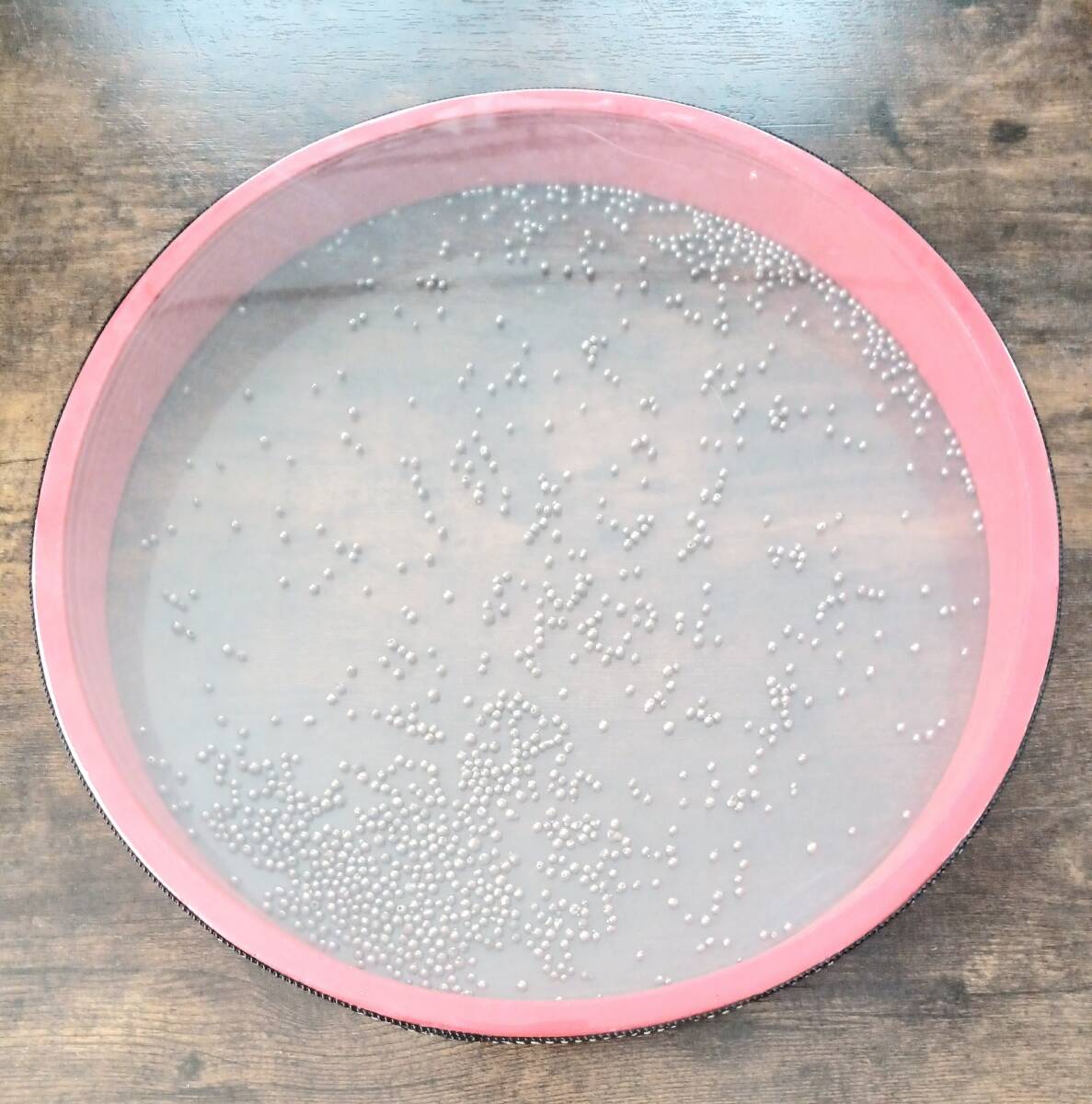 送料無料 オーシャンドラム rhythmania リズマニア OD1 30cm 波の音 効果音 パーカッション 打楽器拍卖