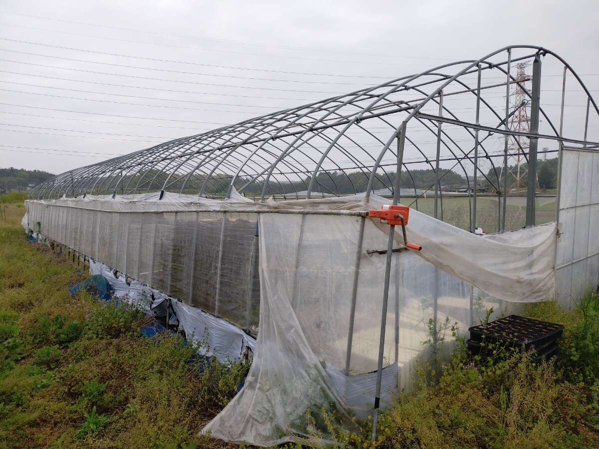 ●ビニールハウス●長さ16m+4m●熊本より●解体済み拍卖