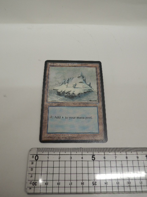 0p9l2A マジックザギャザリング Snow-Covered Island(Anson Maddocks 1995)拍卖