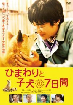 ひまわりと子犬の7日間 レンタル落ち 中古 DVD拍卖