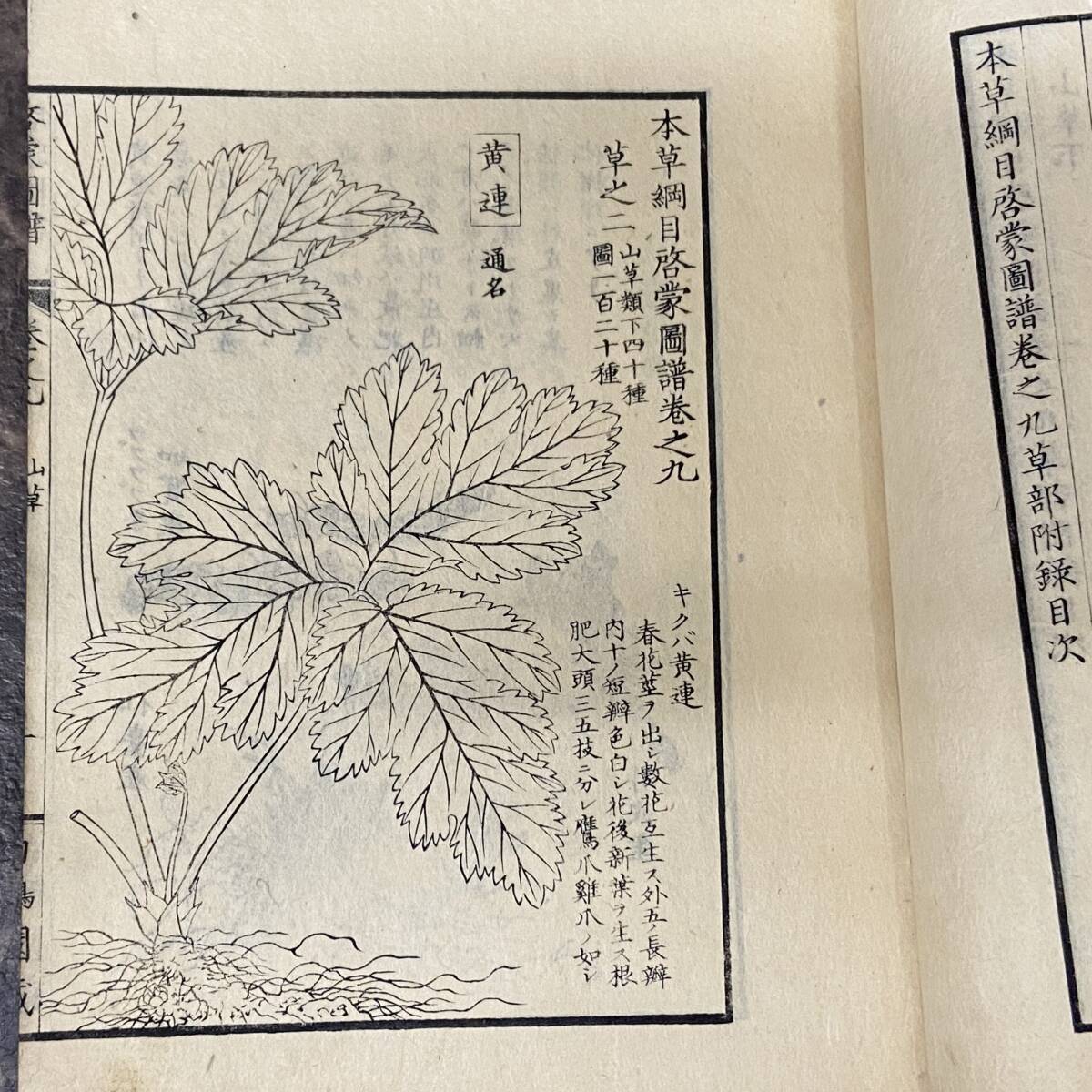 時代 「本草綱目 啓蒙図譜」 図鑑 唐本 和本 古書 白鶴園蔵拍卖