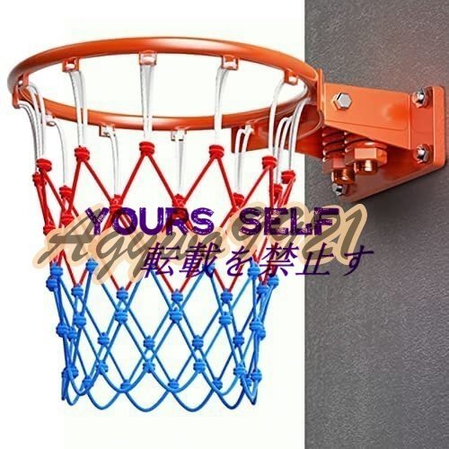 バスケットボール フープ 頑丈なダブルスプリングバスケットボールリム、 スラムダンクのスチール製バスケットボールフープ45cm拍卖