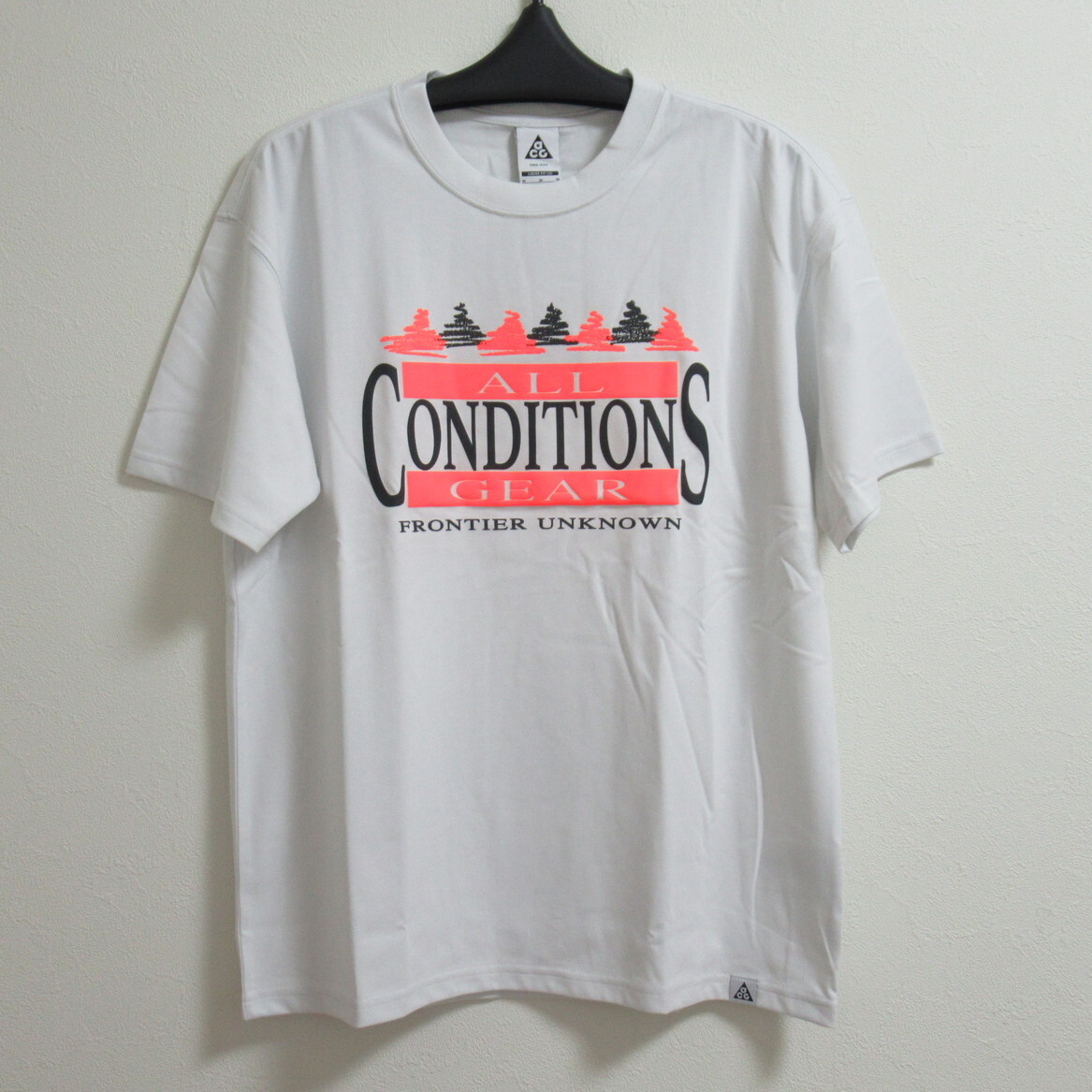 NIKE ACG DRI-FIT S/S Tシャツ プリント 白 L ナイキ ドライフィット ALL CONDITIONS GEAR ルーズフィット 薄グレー FZ6703-121拍卖