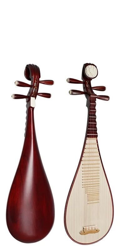 新品 国内稀少! 美品★琵琶拍卖