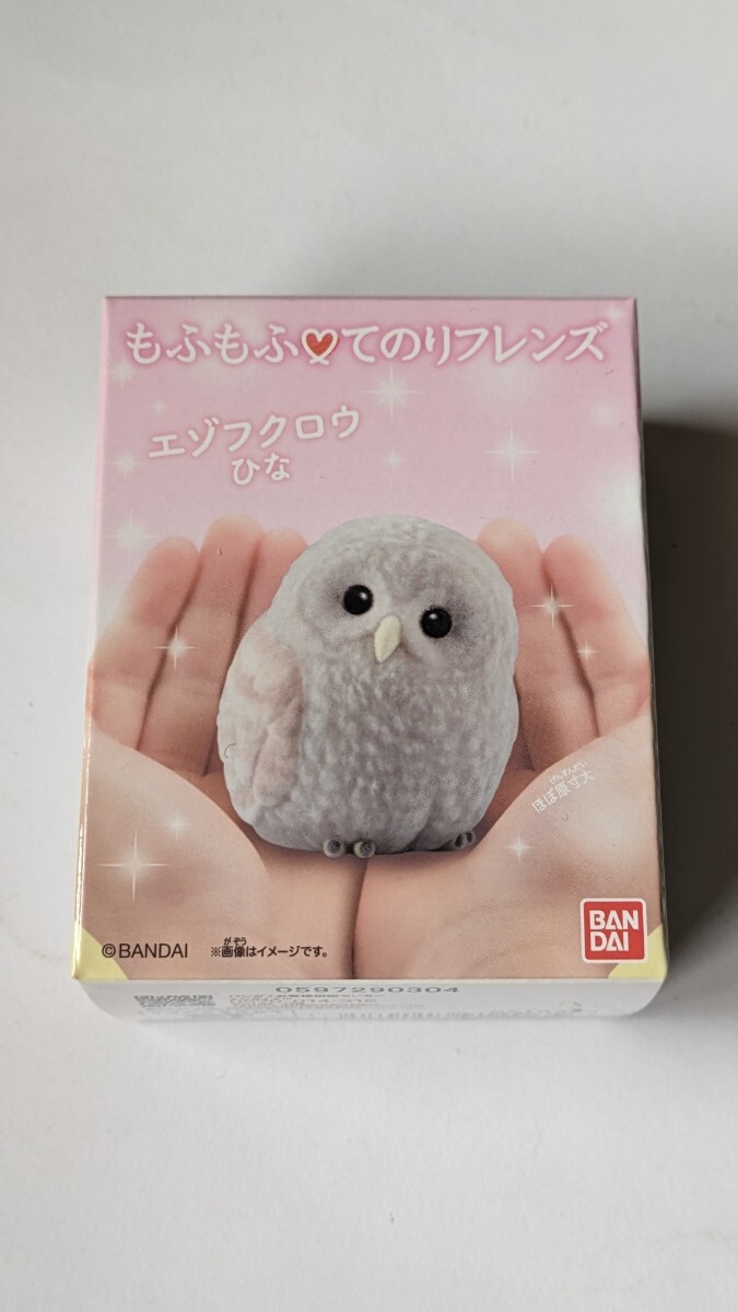 もふもふ てのりフレンズ エゾフクロウ ひな 未開封拍卖