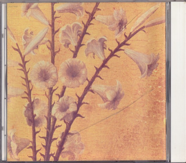 黒夢 / 迷える百合達 /中古CD!!81537/C拍卖