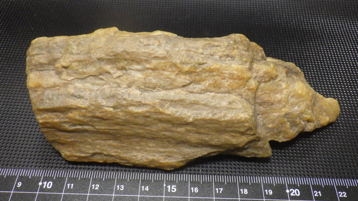 ペトリファイドウッド (珪化木) ・原石214g拍卖