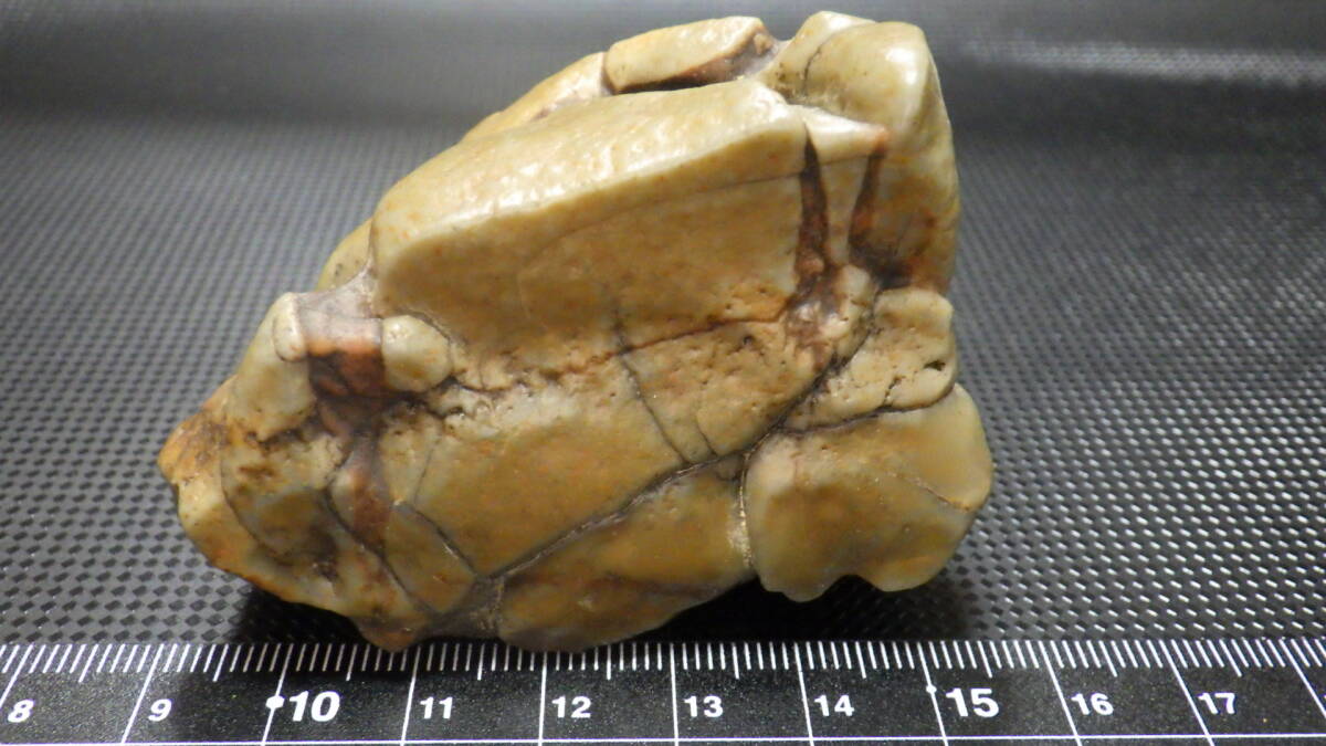 阿拉善(アラシャン)ゴビアゲート 亀甲石・原石140g拍卖