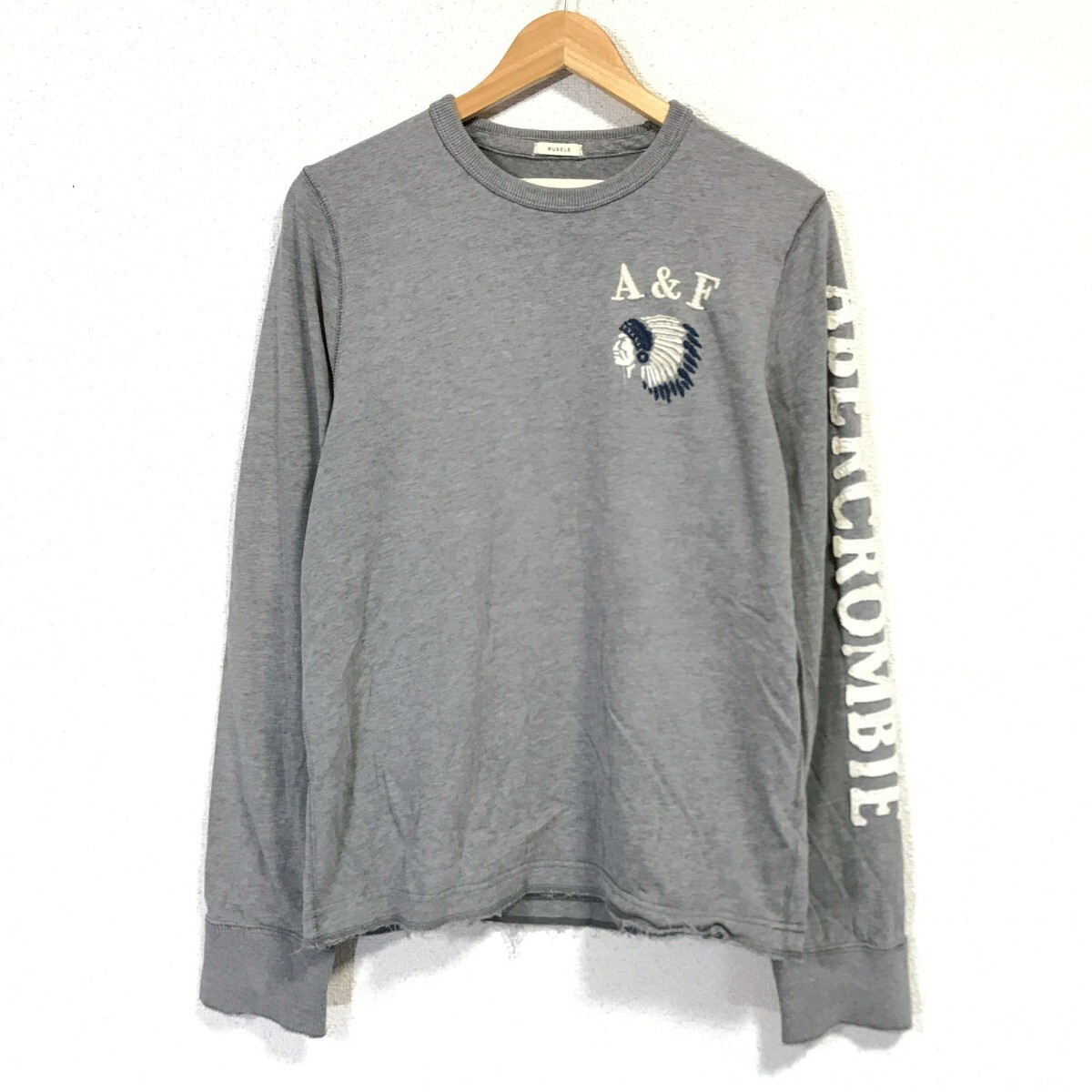 f3678dL Abercrombie&Fitch アバクロンビー&フィッチ サイズM 長袖Tシャツ ロンT グレー メンズ ネイティブアメリカン インディアン 刺繍拍卖