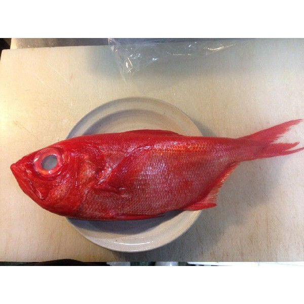 金目鯛 1尾 約800~1kg キンメダイ きんめだい 栄養 刺身 煮るしゃぶしゃぶ 塩焼き 千葉県拍卖