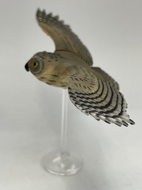 ■★Furuta チョコエッグ 動物シリーズ鳥編 007 コミミズク(フクロウ目 フクロウ)拍卖