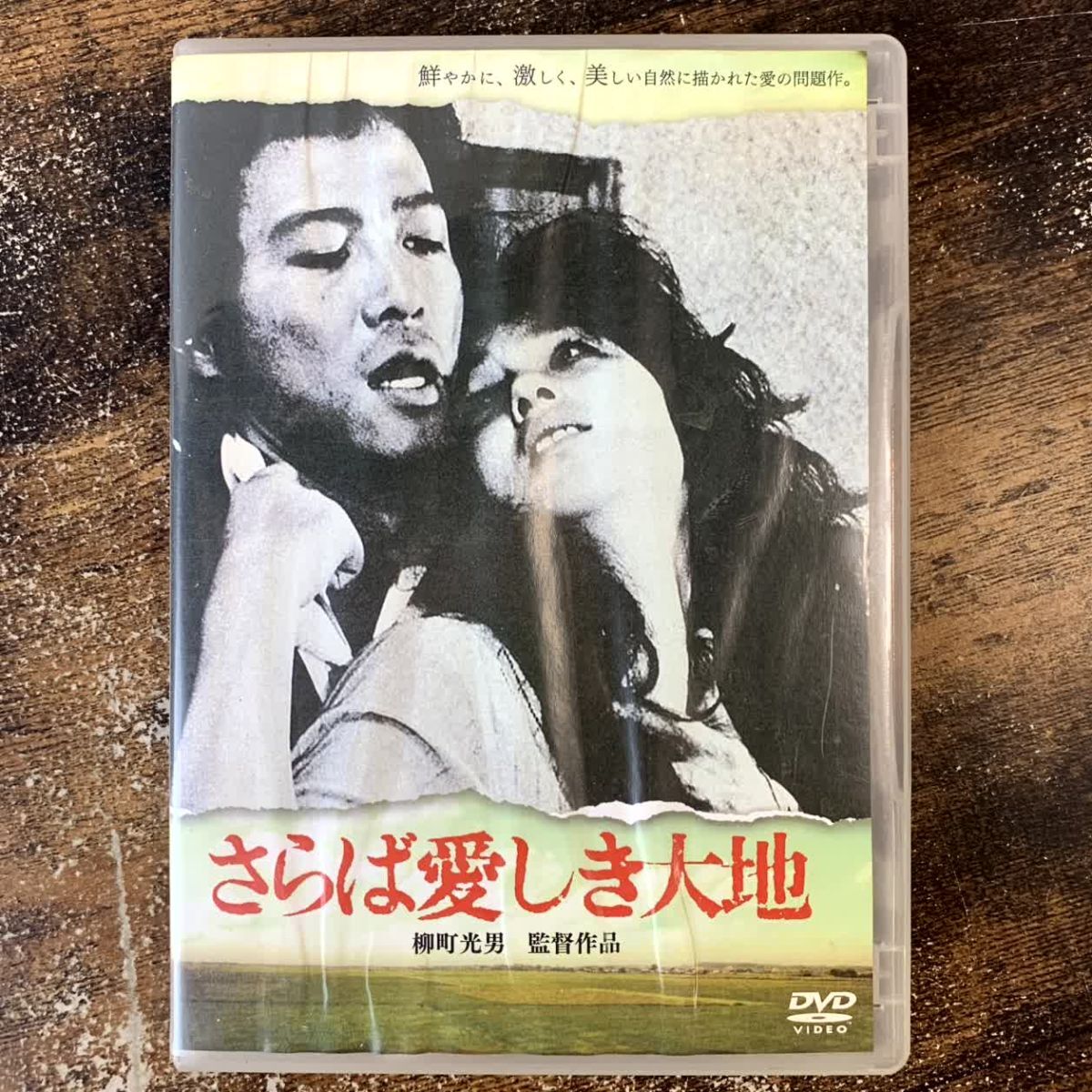 邦画DVD さらば愛しき大地 管理a47 (160)拍卖