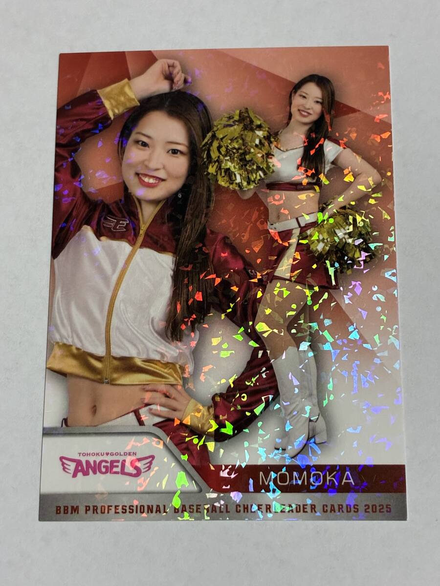 MOMOKA 2025 BBM チアリーダー ホロPPパラレル ホロパラレル 楽天 東北ゴールデンエンジェルス 即決拍卖