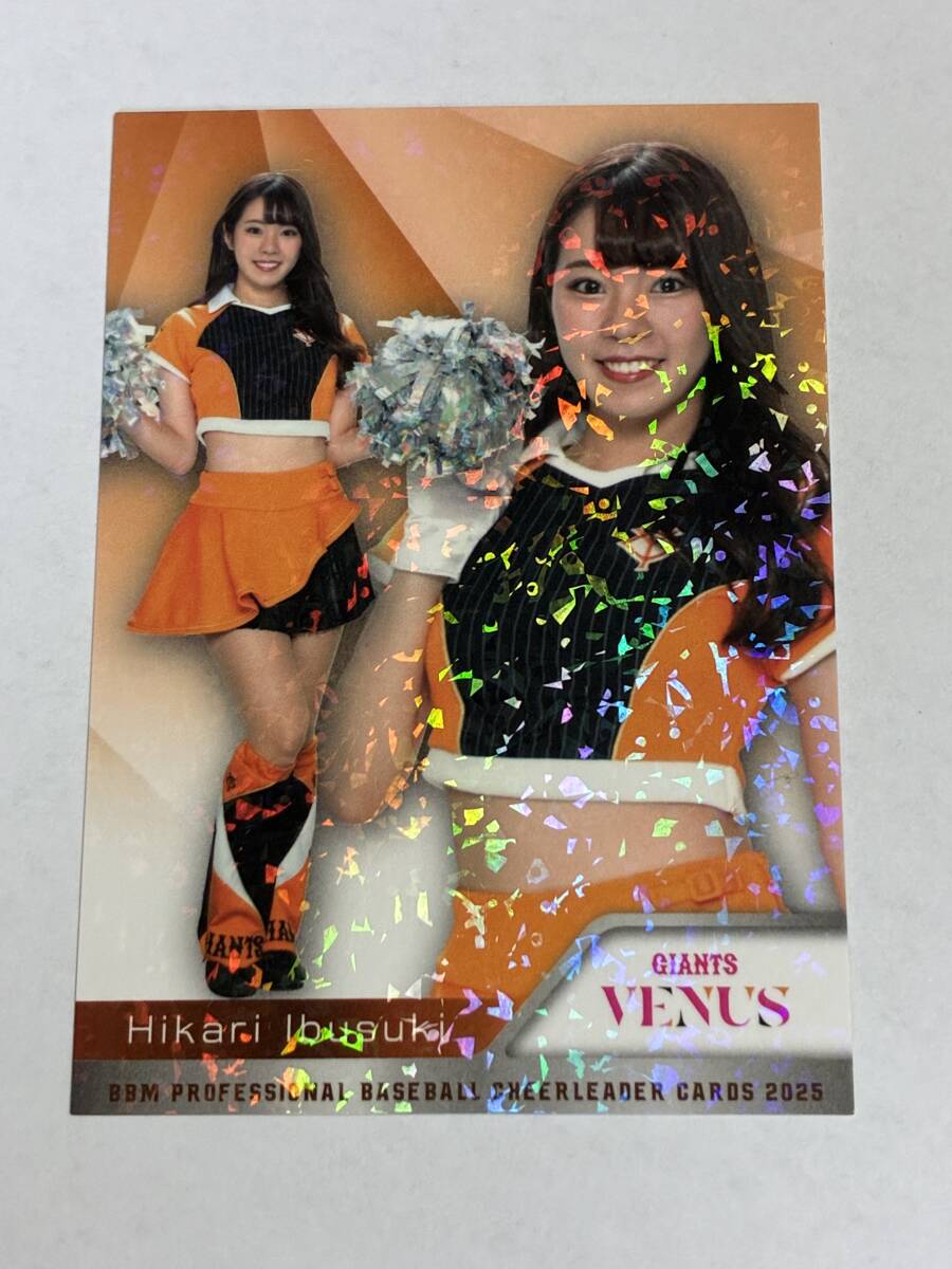 指宿ひかり 2025 BBM チアリーダー ホロPPパラレル ホロパラレル 巨人 読売ジャイアンツ VENUS 即決拍卖