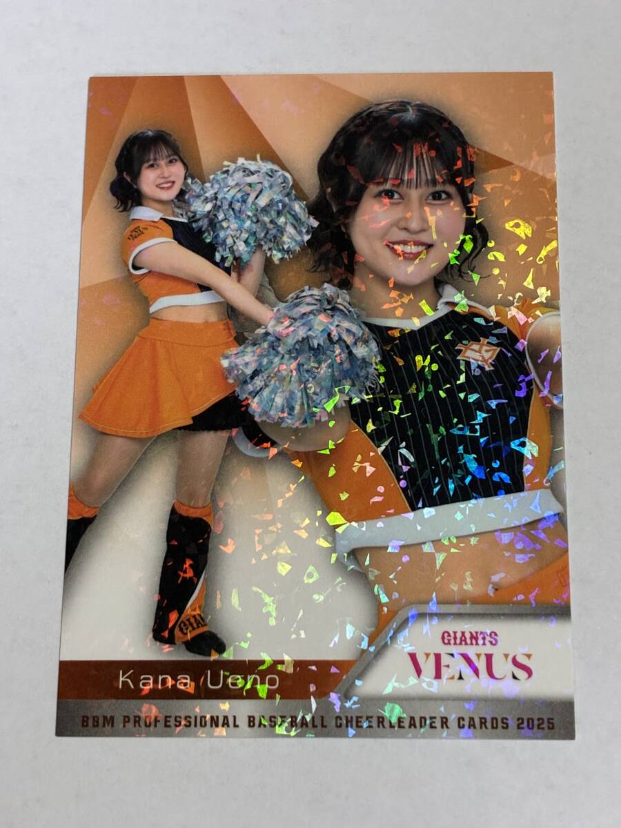 上野華菜 2025 BBM チアリーダー ホロPPパラレル ホロパラレル 巨人 読売ジャイアンツ VENUS 即決拍卖